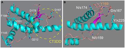 Intrinsic determinants of prion protein neurotoxicity in Drosophila: from sequence to (dys)function